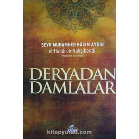 DERYADAN DAMLALAR MESNEVIDEN SEÇME HIKAYELER - HASAN DİNÇ