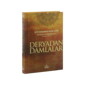 DERYADAN DAMLALAR MESNEVIDEN SEÇME HIKAYELER - HASAN DİNÇ