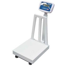 Desis B5 300 kg 60x70 cm Elektronik Tartım Kantarı