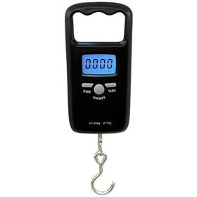 Desis KFS-T1 50KG / 10GR Askı Terazi