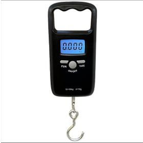 Desis KFS-T1 50KG / 10GR Askı Terazi