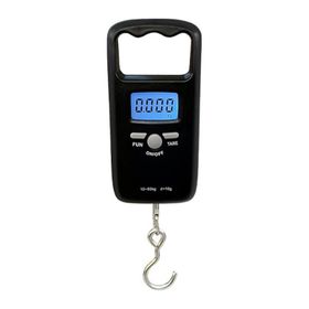 Desis KFS-T1 50KG / 10GR Askı Terazi