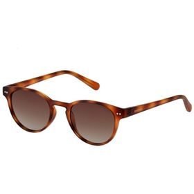 Despada 2061 C4 55 Unisex Güneş Gözlüğü