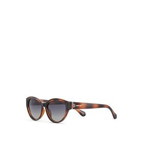 Despada DS 2336 C2 Cat Eye Asetat Havana Kahverengi Kadın Güneş Gözlüğü