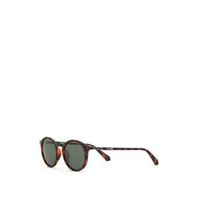 Despada DS 2386 C3 Oval Havana Asetat Kahverengi Unisex Güneş Gözlüğü