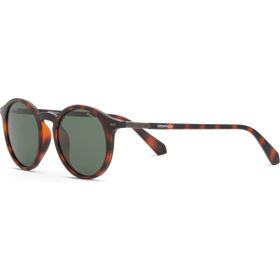 Despada DS 2386 C3 Oval Havana Asetat Kahverengi Unisex Güneş Gözlüğü