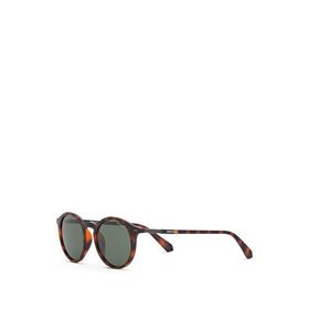 Despada DS 2386 C3 Oval Havana Asetat Kahverengi Unisex Güneş Gözlüğü