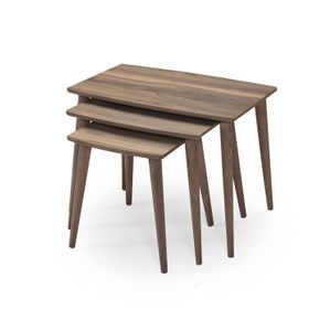 Dest Mobilya Ceviz Rüya Zigon Sehpa