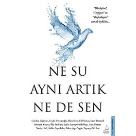 Destek Yayınları Ne Su Aynı Artık Ne de Sen