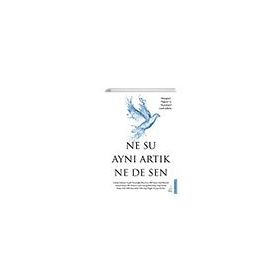Destek Yayınları Ne Su Aynı Artık Ne de Sen