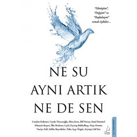 Destek Yayınları Ne Su Aynı Artık Ne de Sen