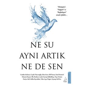 Destek Yayınları Ne Su Aynı Artık Ne de Sen