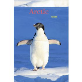 Deuter Tommy Arctic Çapraz Çanta