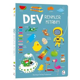 Dev Renkler Kitabım - The Boy Fitzhammond