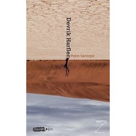 Devrik Harfler - Pelin Sarıtepe