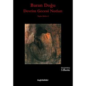 Devrim Gecesi Notları - Baran Doğu
