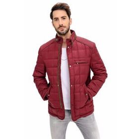 Dewberry M8640 Bordo Erkek Mont