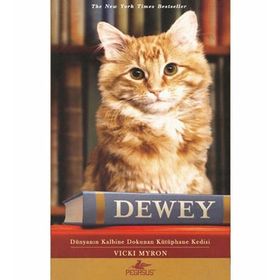 Dewey Dünyanın Kalbine Dokunan Kütüphane Kedisi - Vicki Myron