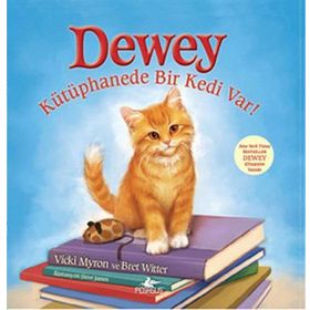 DEWEY KÜTÜPHANEDE BIR KEDI VAR! - BRET WITTER, VICKI MYRON