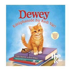 DEWEY KÜTÜPHANEDE BIR KEDI VAR! - BRET WITTER, VICKI MYRON