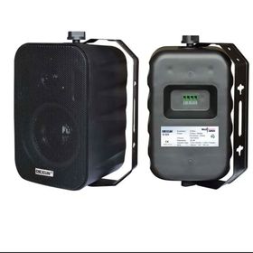 Dexun D-425 4 inç 30W Trafolu Siyah Duvar Hoparlörü