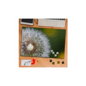 DF871 Yakın Çekim Karahindiba 240 Parça Puzzle Yapboz Tablo