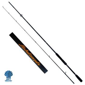 Dft Michelangelo 243 cm 10-20 gr Olta Kamışı