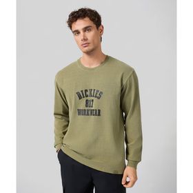 Dickies DK0A4Z3N0IP1-001 Yeşil 817 TEE LS Erkek Tişört