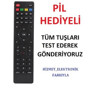 Digiline DG 300 Uydu Kumandası