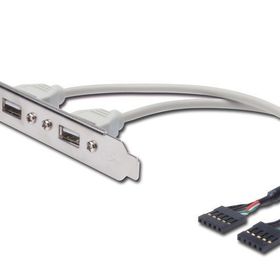 Digitus AK-300301-002-E IDC-2xUSB2.0 0.25m Çevirici