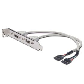 Digitus AK-300301-002-E IDC-2xUSB2.0 0.25m Çevirici