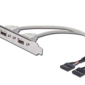 Digitus AK-300301-002-E IDC-2xUSB2.0 0.25m Çevirici