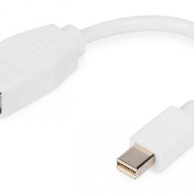 Digitus DB-340405-001-W Mini DISPLAY PORT to DISPLAY PORT 1.2 Erkek-Dişi Dönüştürücü Adaptör