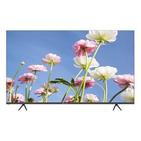 Dijitsu DW9900 TV
