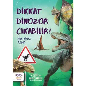 Dikkat Dinozor Çıkabilir Cezve Çocuk Yayınları