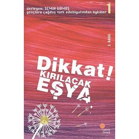 DIKKAT! KIRILACAK EŞYA GENÇLERE ÇAĞDAŞ TÜRK EDEBİYATINDAN ÖYKÜLER 1 - SEMIH GÜMÜŞ