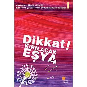 DIKKAT! KIRILACAK EŞYA GENÇLERE ÇAĞDAŞ TÜRK EDEBİYATINDAN ÖYKÜLER 1 - SEMIH GÜMÜŞ