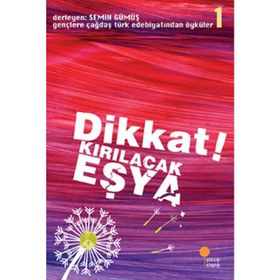 DIKKAT! KIRILACAK EŞYA GENÇLERE ÇAĞDAŞ TÜRK EDEBİYATINDAN ÖYKÜLER 1 - SEMIH GÜMÜŞ