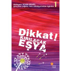 DIKKAT! KIRILACAK EŞYA GENÇLERE ÇAĞDAŞ TÜRK EDEBİYATINDAN ÖYKÜLER 1 - SEMIH GÜMÜŞ