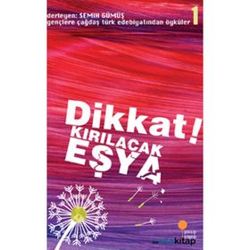 DIKKAT! KIRILACAK EŞYA GENÇLERE ÇAĞDAŞ TÜRK EDEBİYATINDAN ÖYKÜLER 1 - SEMIH GÜMÜŞ