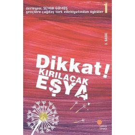 Dikkat Kırılacak Eşya - Semih Gümüş