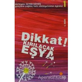 Dikkat Kırılacak Eşya - Semih Gümüş