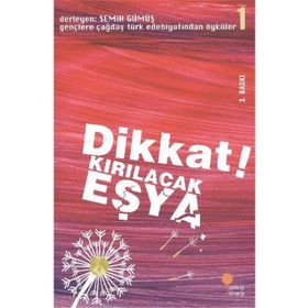 Dikkat Kırılacak Eşya - Semih Gümüş