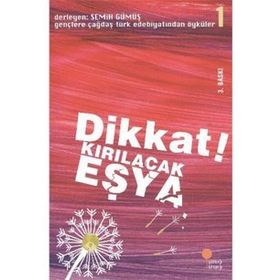 Dikkat Kırılacak Eşya - Semih Gümüş