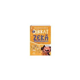 Dikkat Zeka 9+ Yaş: Disiplinlerarası Bağlantı Sistemi DBS - Mehmet Türkdoğan Savaş Özdemir