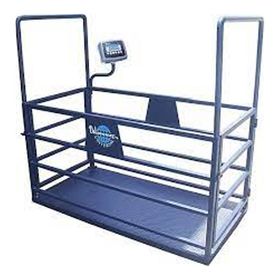 Dikomsan CW 1500 kg x200 gr 100x200 Canlı Hayvan Baskülü