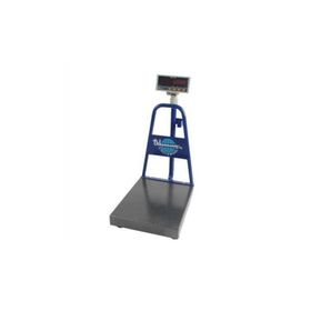 Dikomsan HCT-CL 150 kg 35x40 Tartım Baskülü