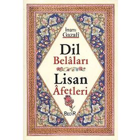 DIL BELALARI - LISAN AFETLERI - İMAM-I GAZALI