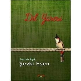 Dil Yaresi - Şevki Esen