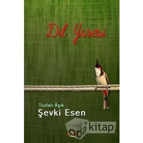 Dil Yaresi - Şevki Esen
